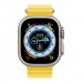 Apple Watch Ultra, 49 мм корпус из титана + ремешок Ocean цвета «Yellow» фото 0