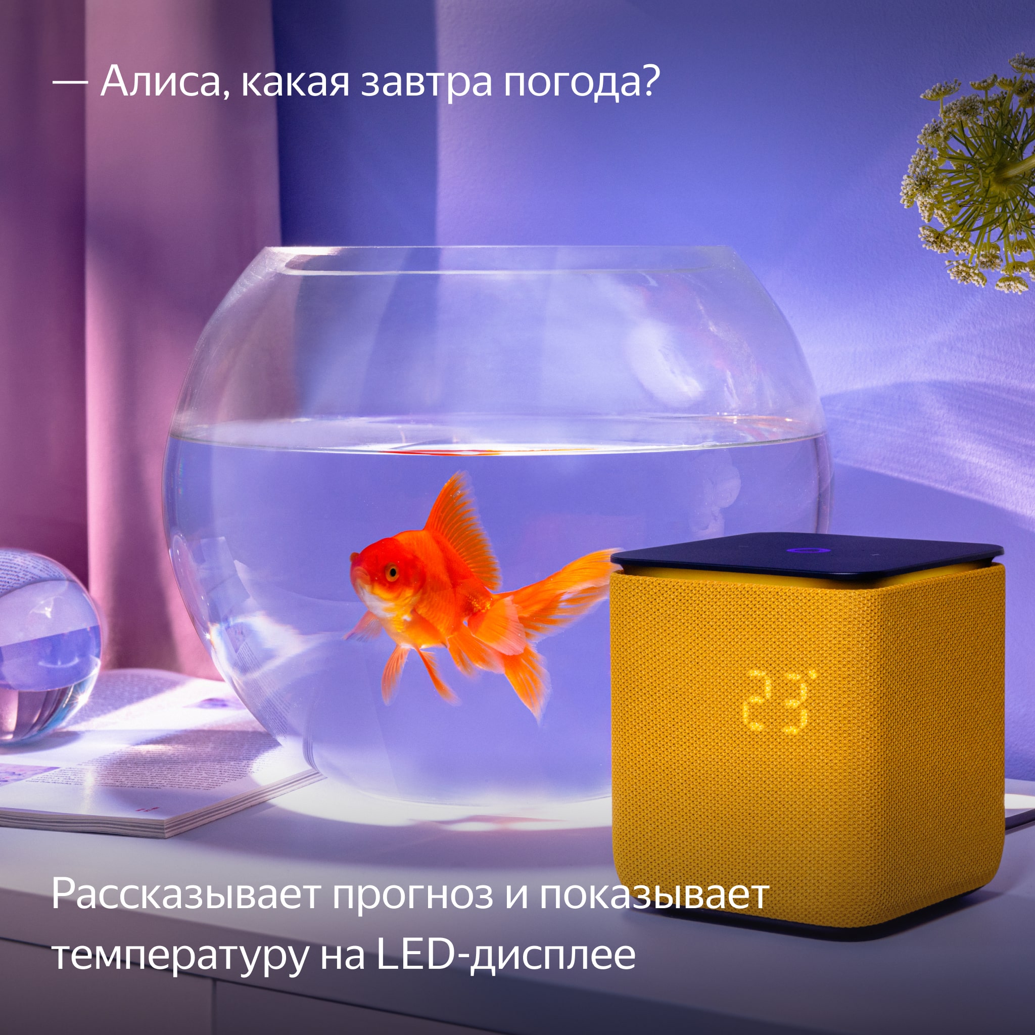 Умная колонка Яндекс Станция Миди с Алисой на YaGPT, с Zigbee™, Желтая
